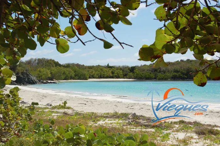 Playa La Plata in Vieques, Puerto Rico